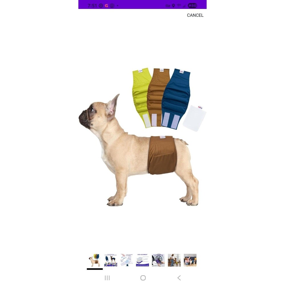 small UNIPUP Washable Belly Band Diaper Male Dogs Pack of 3 High Absorbing SM1